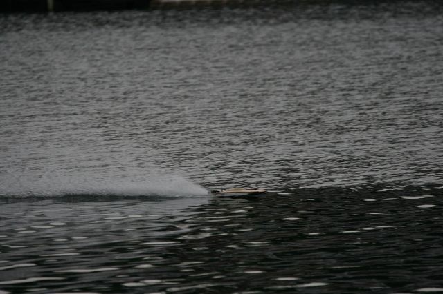 IMG_6233.jpg