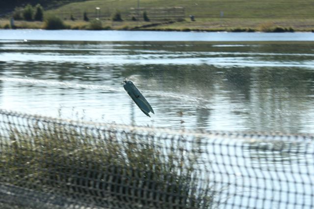 IMG_4479.JPG