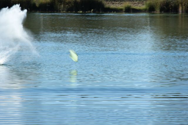 IMG_4490.JPG