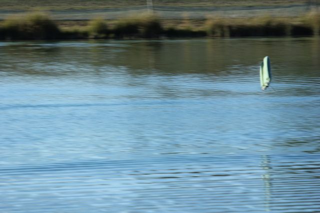 IMG_4491.JPG