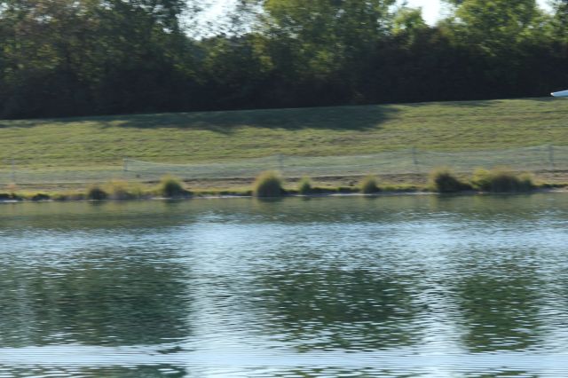 IMG_4519.JPG