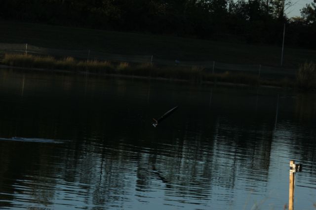 IMG_4621.JPG