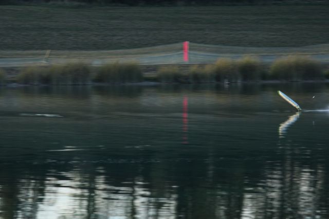 IMG_4754.JPG