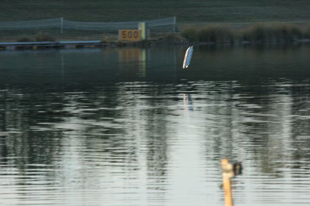 IMG_4772.JPG