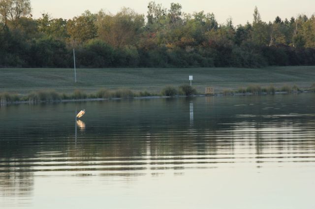 IMG_4786.JPG