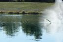 IMG_4459.JPG