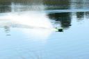 IMG_4467.JPG