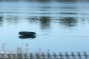 IMG_4476.JPG