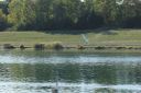 IMG_4521.JPG