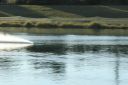 IMG_4576.JPG