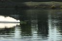IMG_4598.JPG