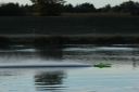 IMG_4714.JPG